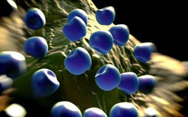 Aconite anter ve polen - 3D görüntüleme