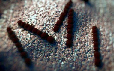 Streptococcus pneumoniae, Gram-pozitif koküs şekilli patojenik bakteridir ve zatürreye ek olarak pnömokok enfeksiyonlarına neden olur. .