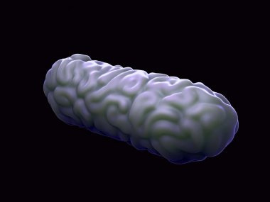 3d illüstrasyon - Bordetella Pertusis Bakterisi