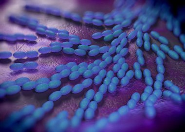 3D görüntüleme - asetobacter bakteri