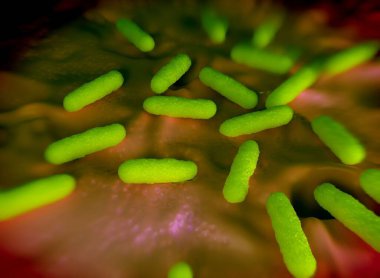 Bakteri hücrelerinin gösterimi