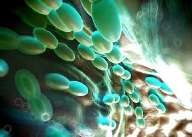 3D görüntüleme - asetobacter bakteri
