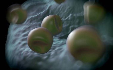 Aconite anter ve polen - 3D görüntüleme