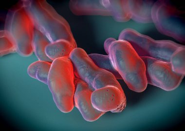 3D görüntüleme - campylobacter jejuni bakterisi