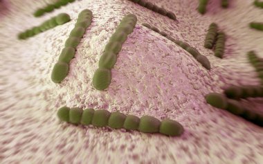 Streptococcus pneumoniae, bakteri sanat