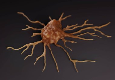3d illüstrasyon - Pluripotent Kök Hücreler