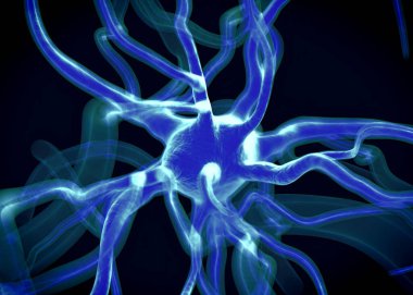 Sinir sisteminin bir kısmını oluşturan nöron veya sinir hücreleri elektriksel ve kimyasal sinyallerle bilgi iletir ve işler..