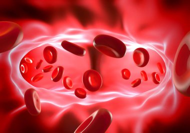 Kan dolaşımı, yakın çekim görüntüsü 