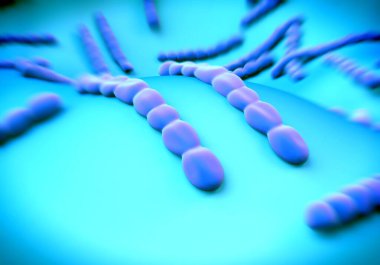 Streptococcus pneumoniae, bakteri sanat