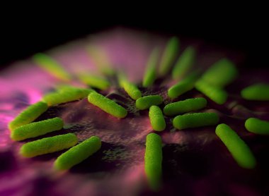 Bakteri hücrelerinin gösterimi