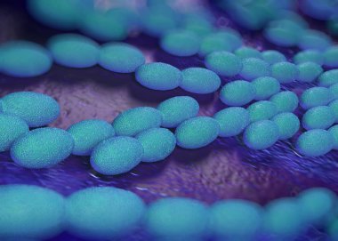 3D görüntüleme - asetobacter bakteri 