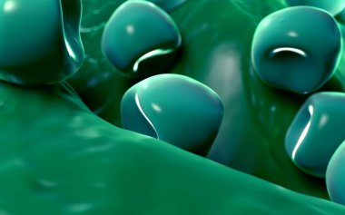  Bilinen Anter ve polen