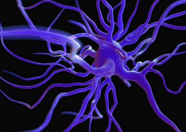 Sinir sisteminin bir kısmını oluşturan nöron veya sinir hücreleri elektriksel ve kimyasal sinyallerle bilgi iletir ve işler..