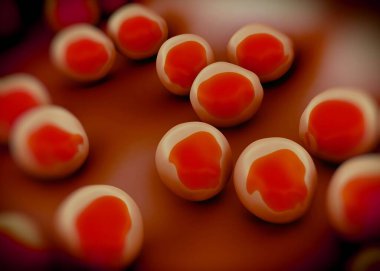 süperböcek veya Staphylococcus aureus (MRSA) bakterisi