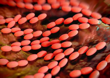 3D görüntüleme - asetobacter bakteri