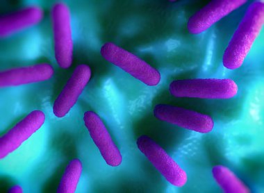 Salmonella typhimurium bakterisine yakın çekim