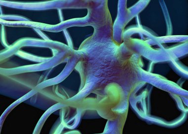 Sinir sisteminin bir kısmını oluşturan nöron veya sinir hücreleri elektriksel ve kimyasal sinyallerle bilgi iletir ve işler..