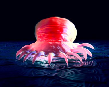 Gyrodactylus su paraziti yakın çekim görüntüsü