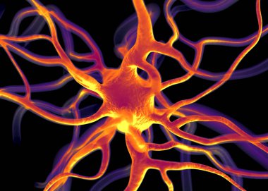 Sinir sisteminin bir kısmını oluşturan nöron veya sinir hücreleri elektriksel ve kimyasal sinyallerle bilgi iletir ve işler..