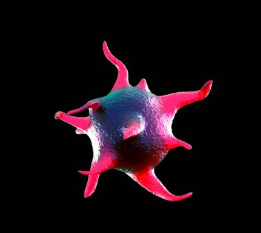 3D görüntüleme - etkinleştirilmiş trombositler