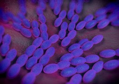 3D görüntüleme - asetobacter bakteri