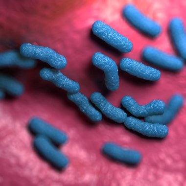 3d illüstrasyon - Escherichia Coli Bakterisi