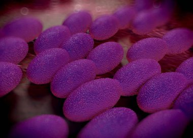 3D görüntüleme - asetobacter bakteri