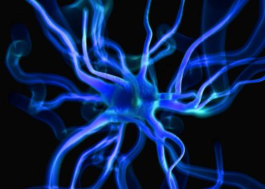 3d Hazırlama - Etkin sinir hücreleri