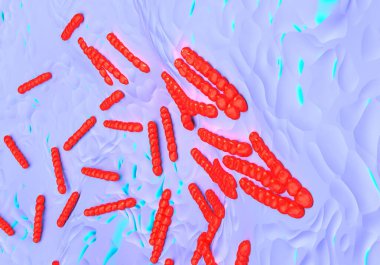 Streptococcus pneumoniae, bakteri sanat