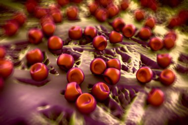 Aconite anter ve polen, bir akonit (Aconitum) çiçeğinden gelen polen tanecikleri. 