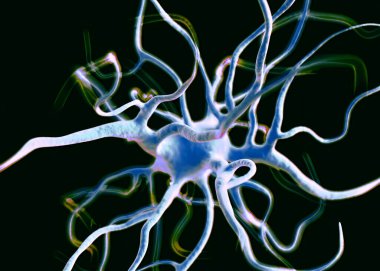 Sinir sisteminin bir kısmını oluşturan nöron veya sinir hücreleri elektriksel ve kimyasal sinyallerle bilgi iletir ve işler..