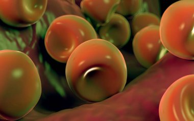  Bilinen Anter ve polen