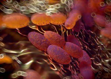3D görüntüleme - asetobacter bakteri