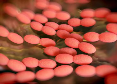 3D görüntüleme - asetobacter bakteri