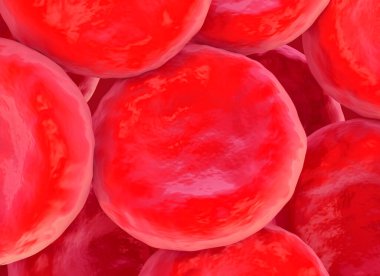 kırmızı kan hücresi çizimi