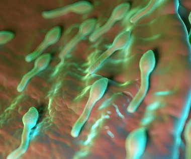 3D görüntüleme - lostridium tetani bakterisi 