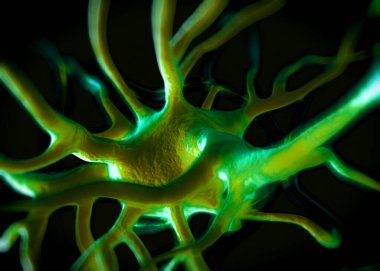 Sinir sisteminin bir kısmını oluşturan nöron veya sinir hücreleri elektriksel ve kimyasal sinyallerle bilgi iletir ve işler..