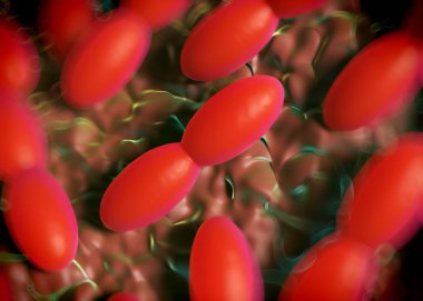 3D görüntüleme - asetobacter bakteri