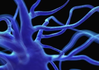 Sinir sisteminin bir kısmını oluşturan nöron veya sinir hücreleri elektriksel ve kimyasal sinyallerle bilgi iletir ve işler..