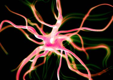 Sinir sisteminin bir kısmını oluşturan nöron veya sinir hücreleri elektriksel ve kimyasal sinyallerle bilgi iletir ve işler..