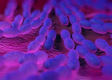 3D görüntüleme - asetobacter bakteri 