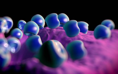 Aconite anter ve polen - 3D görüntüleme