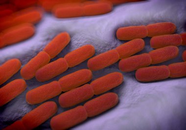 3d illüstrasyon - Lactobacillus Bulgaricus Bakterisi