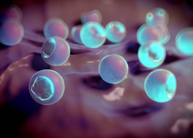 3d oluşturma - bakteri hücreleri