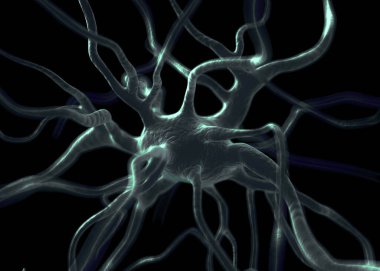 Sinir sisteminin bir kısmını oluşturan nöron veya sinir hücreleri elektriksel ve kimyasal sinyallerle bilgi iletir ve işler..