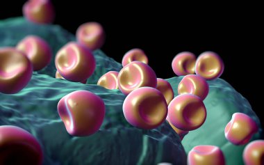 Aconite anter ve polen - 3D görüntüleme