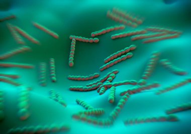 Streptococcus pneumoniae, bakteri sanat