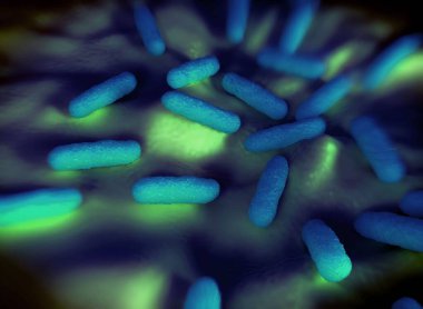 Bakteri hücrelerinin gösterimi