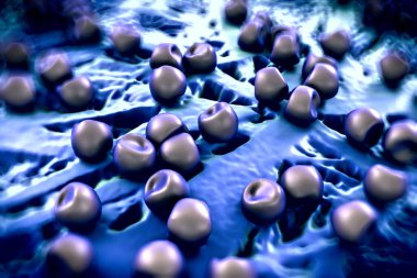 Aconite anter ve polen, bir akonit (Aconitum) çiçeğinden gelen polen tanecikleri. 