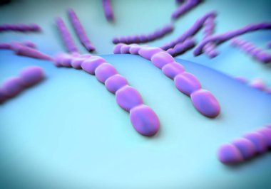 Streptococcus pneumoniae, bakteri sanat